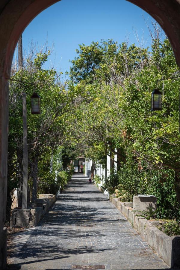 Controvento In Villa Eldorado Procida Kültér fotó